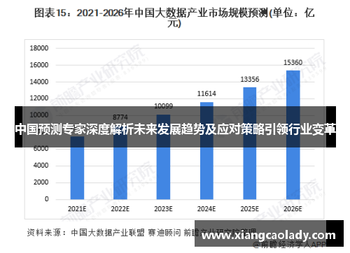 中国预测专家深度解析未来发展趋势及应对策略引领行业变革